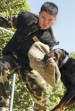 Police dogs sink teeth into terror fight