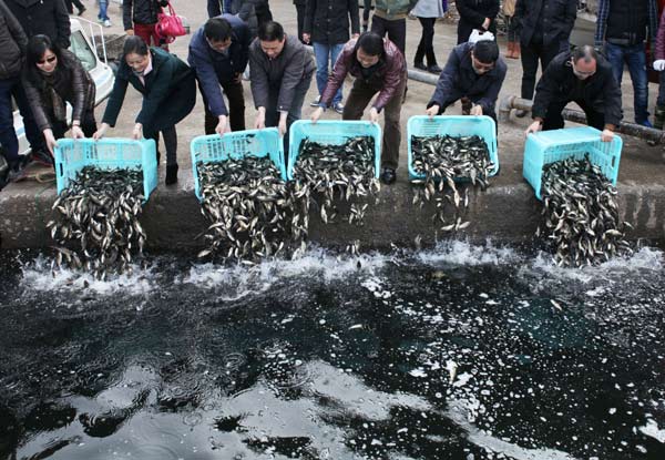 Clearing the way with clean waters