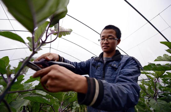 College graduate becomes farmer