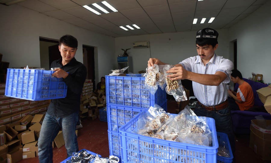 Uyghur student nets market with nut