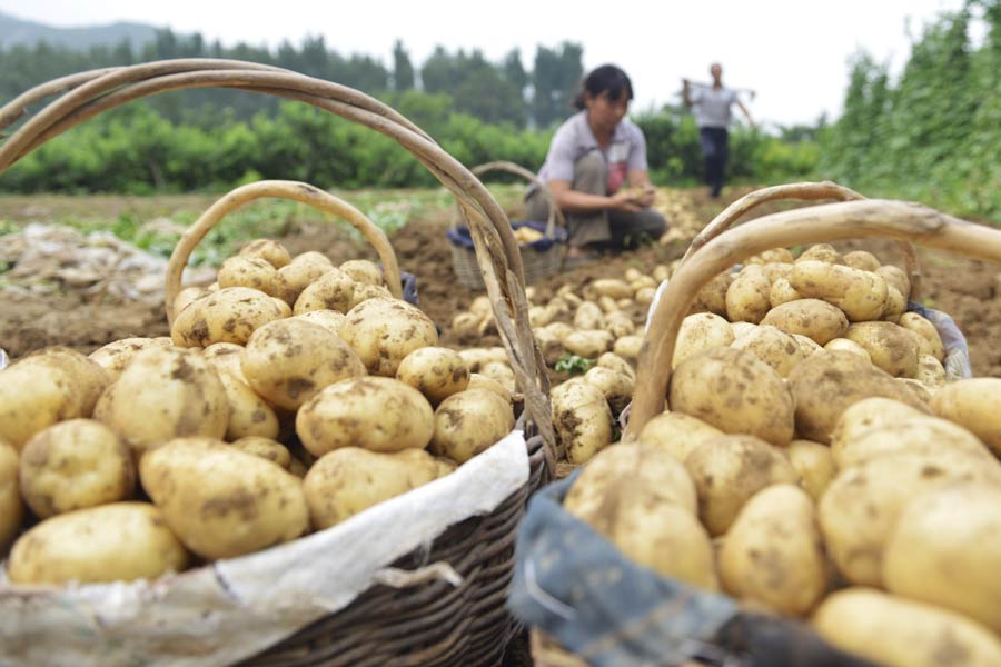 Family farms see huge jump in earnings