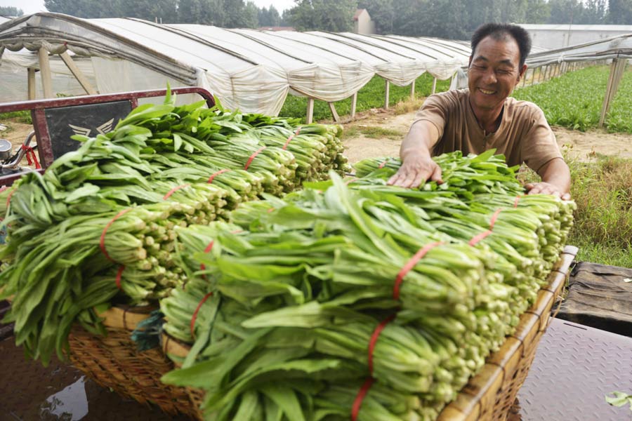 Family farms see huge jump in earnings