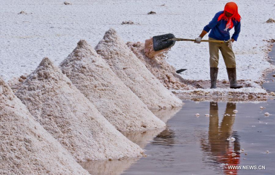 Workers harvest dried salt in Gansu