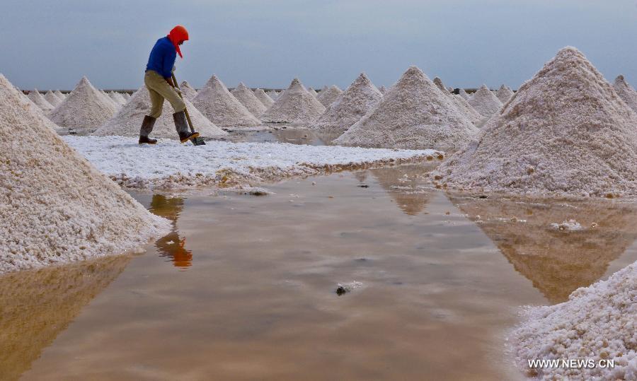 Workers harvest dried salt in Gansu