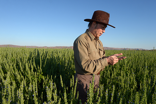 Mainland investors own just 0.38% of Aussie farmland