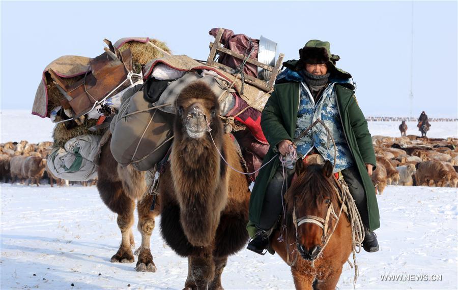 Daily life of herdsmen in Xinjiang's Altay