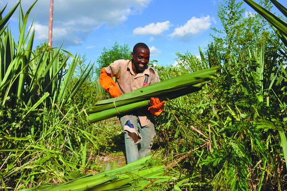 Sowing the seeds of success in Tanzania