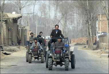 Farmers in Qinghai are facing a fresh outbreak of foot-and-mouth disease, with 51 head of cattle affected in the northwestern province.[AFP]