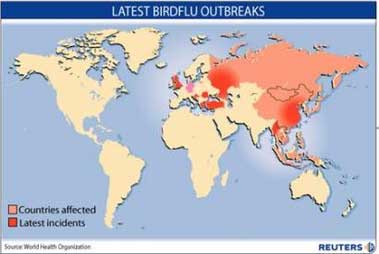 Latest bird flu outbreaks and bird fly antigenic shift