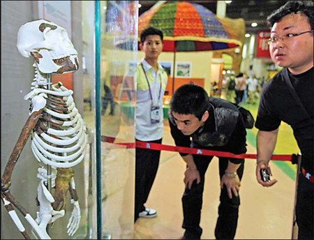 Lucy, 3 million years old, on display at Expo