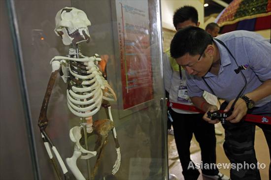 Lucy, 3 million years old, on display at Expo