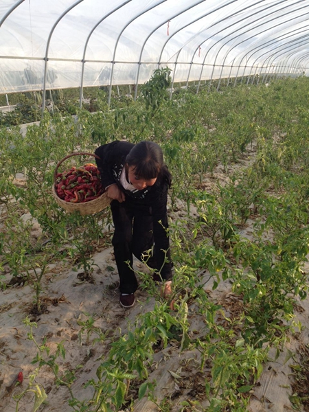 Gansu village marches to new future