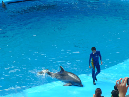 Chengdu Haichang Polar Ocean World opens