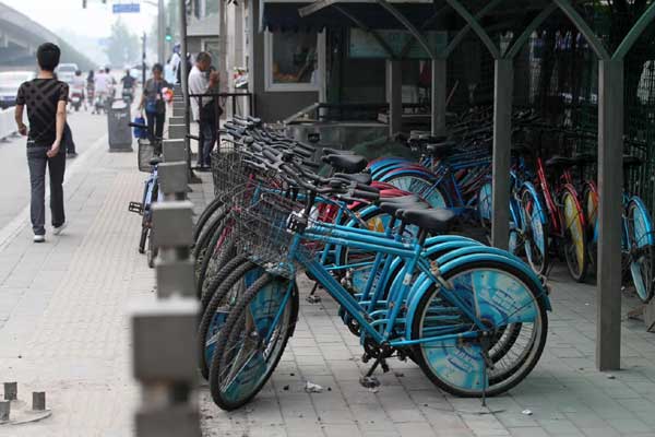 Cycle of misery on congested roads