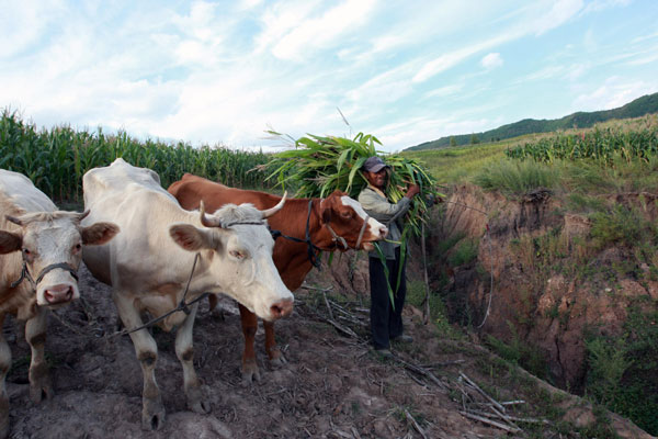 Bountiful land faces barren future