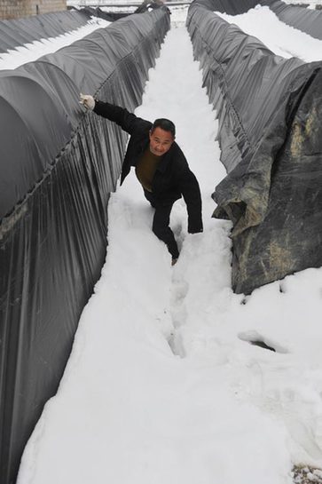 Heavy snow, icy rain wreck havoc in South China