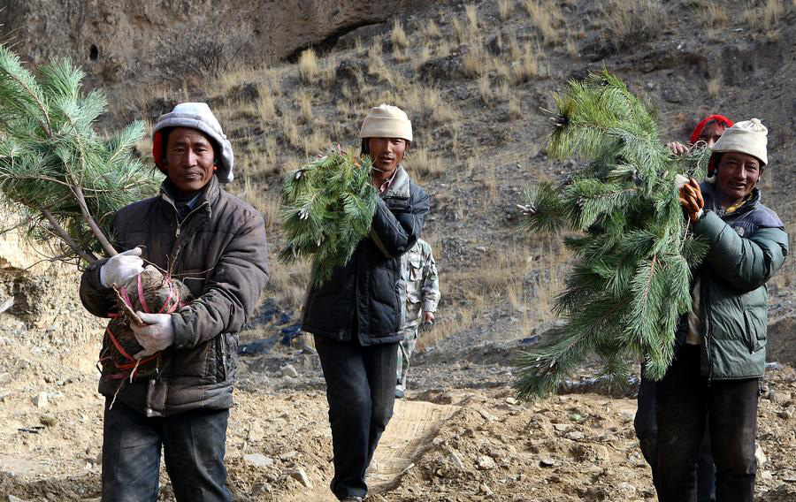 Lhasa to invest 1,000m yuan to plant trees