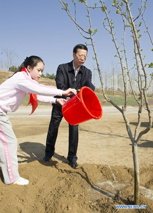 Xi calls for persistent afforestation efforts