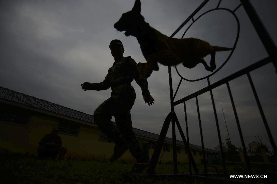 Police dog training base in Nanjing