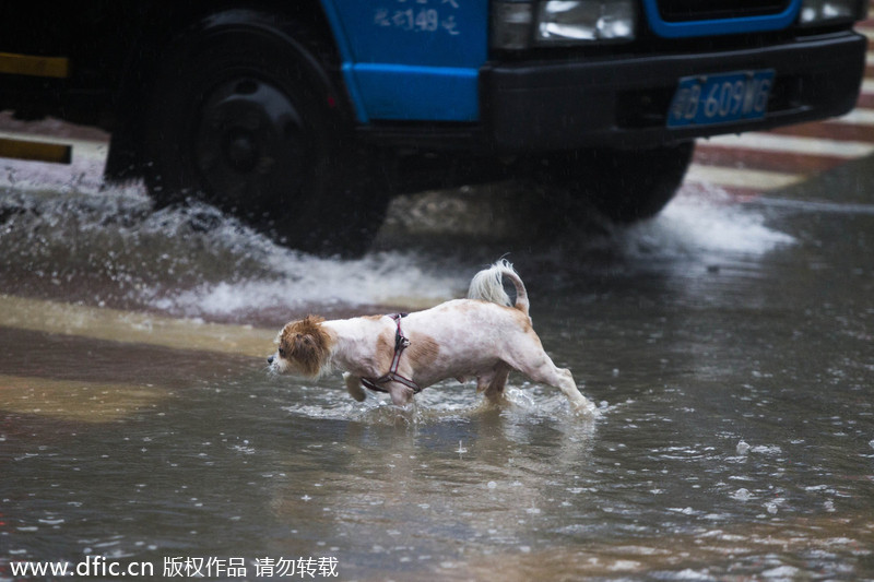 Heavy rain causes flood in South China city