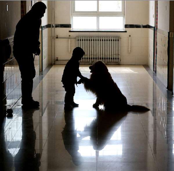 Therapy dogs ease plight of autistic children