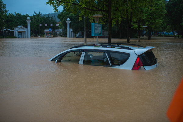 7 dead, over 170,000 affected in Guangdong rainstorm