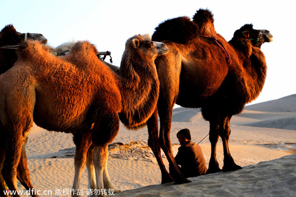 Plans on the horizon to speed up development in southern Xinjiang