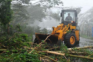 Strongest typhoon in 40 years hits Haikou