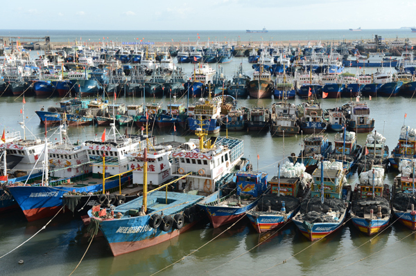 Fujian province braces for Typhoon Matmo