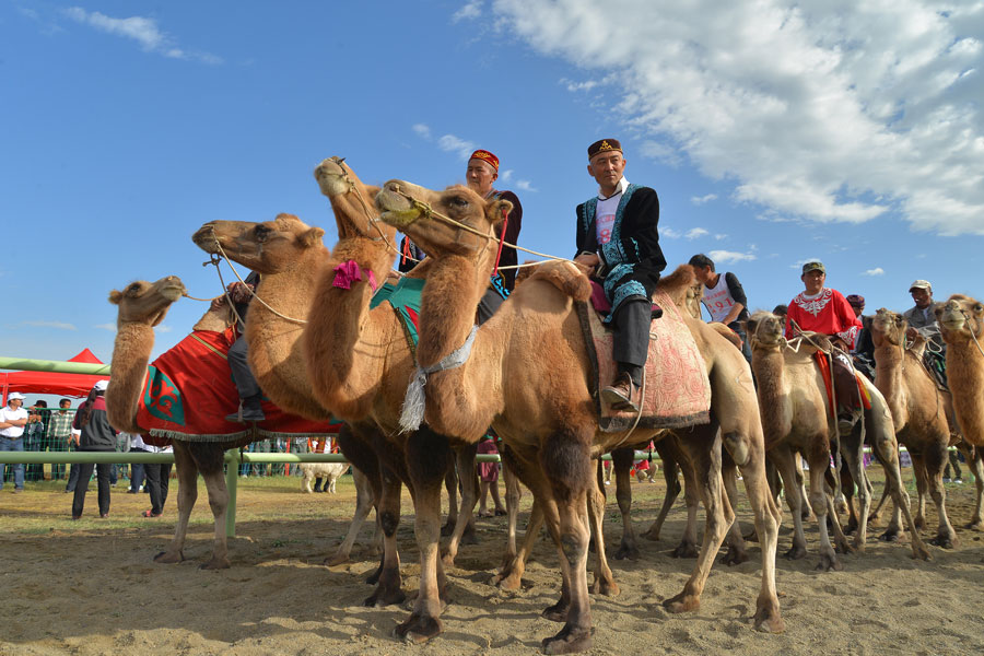 Herdsmen celebrate 60th birthday of Barkol