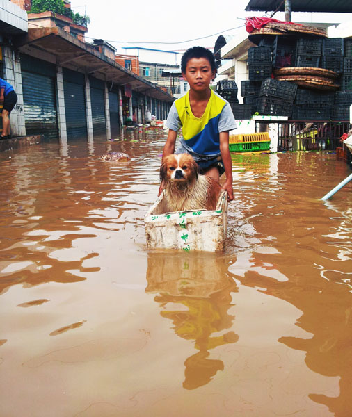 12 killed in rainstorm-hit SW China