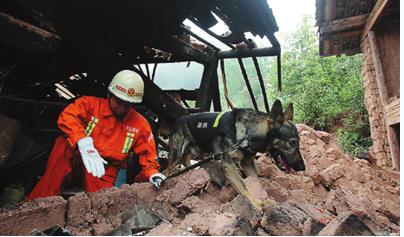 Wooden homes help keep quake casualty figures down