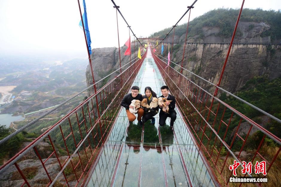 Security officer protects dogs from falling off the bridge