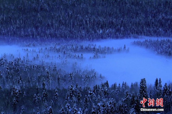 Snow turns village in Xinjiang into a fairy world