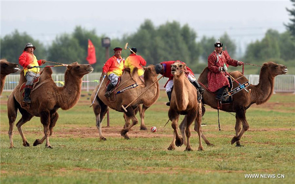 Athletes perform camel ball at ethnic minorities games