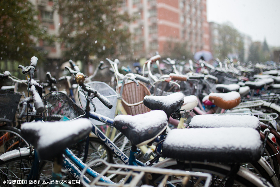 Beijing embraces first snow of the season