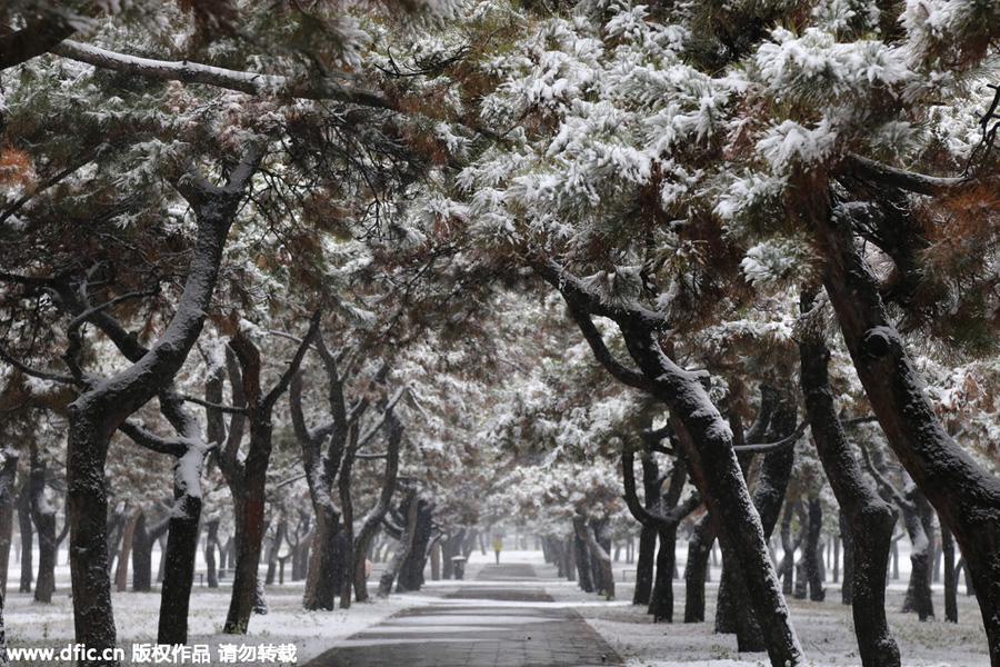 Snowstorms sweep across northern China