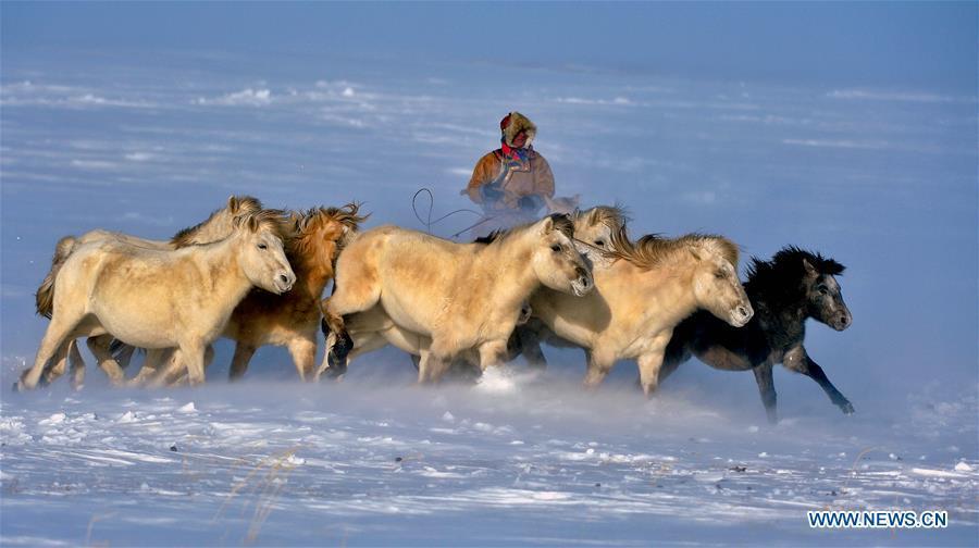 Horse folk cultural festival kicks off in N China's Inner Mongolia