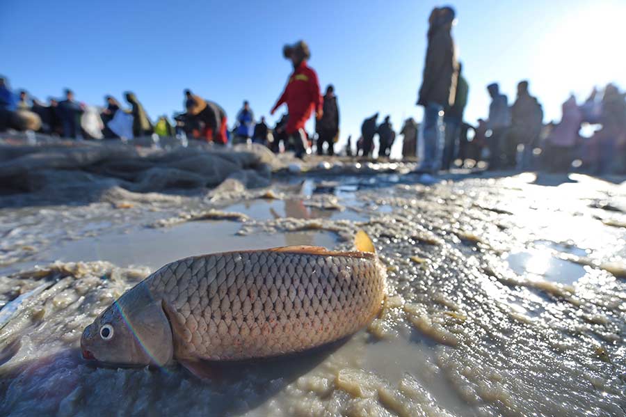 Traditional ice fishing techniques on display in Jilin province