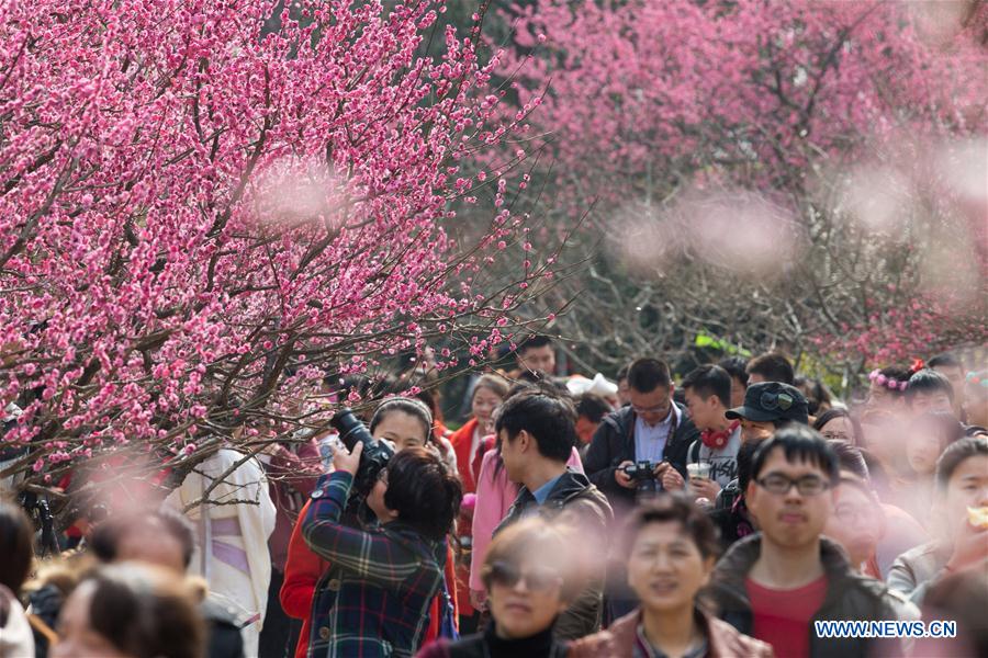 People view plum blossoms at scenic area in E China