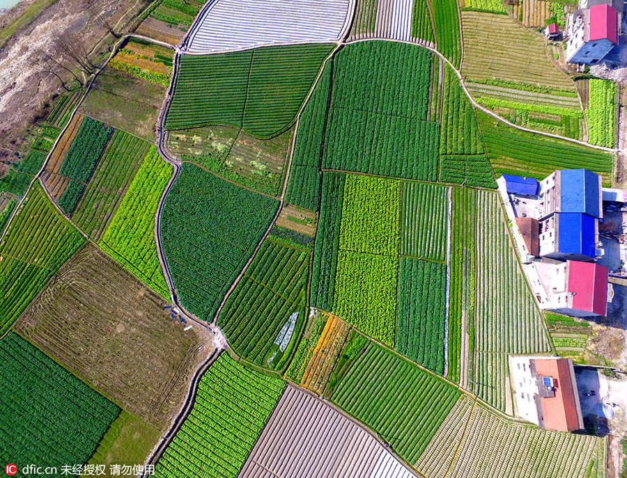 Discover beautiful China in spring blossom (V)