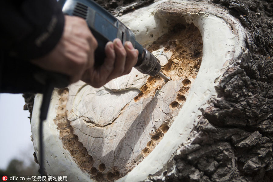 Carved figures emerge from trees in Northeast China