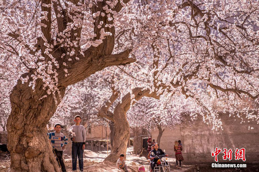 Hidden paradise found in remote NW China