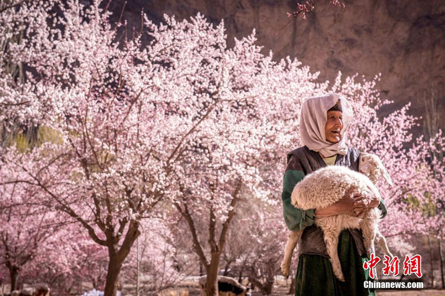 Hidden paradise found in remote NW China