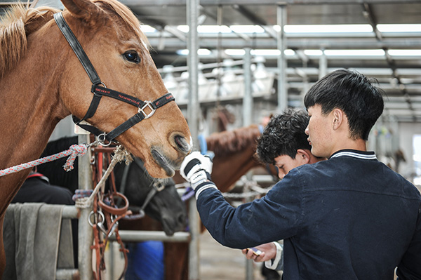 Equestrianism gains currency in China