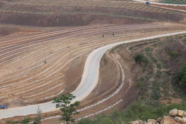 Plantations lift villages out of poverty in Hebei