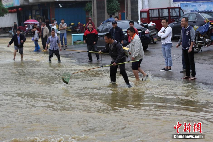 Residents net fish on flooded road in C China