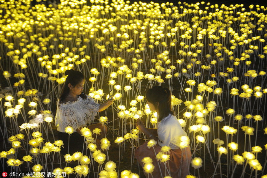 Millions of LED lights to create a dreamy world