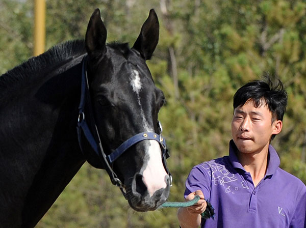 Animals aiding quake detection