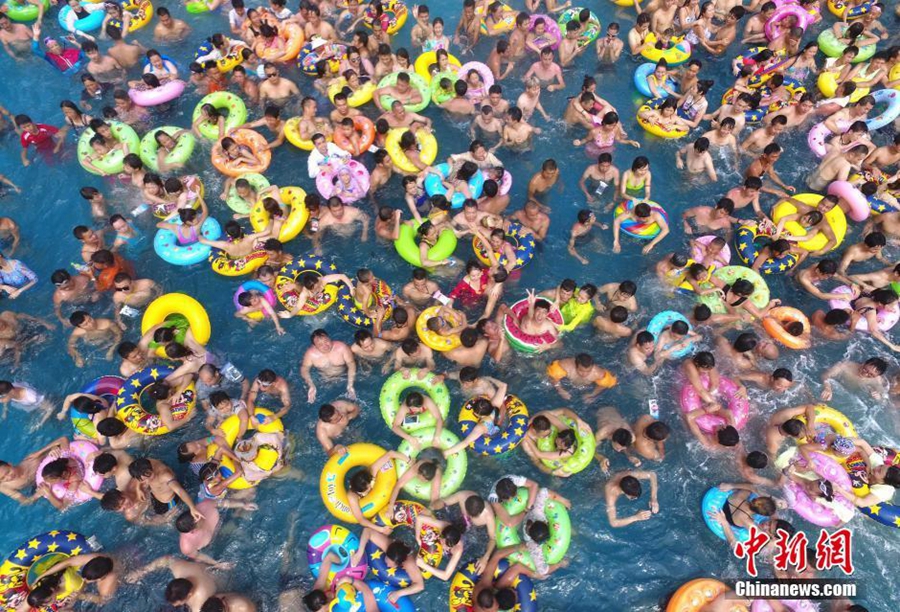 Cooling off in pool to escape heat